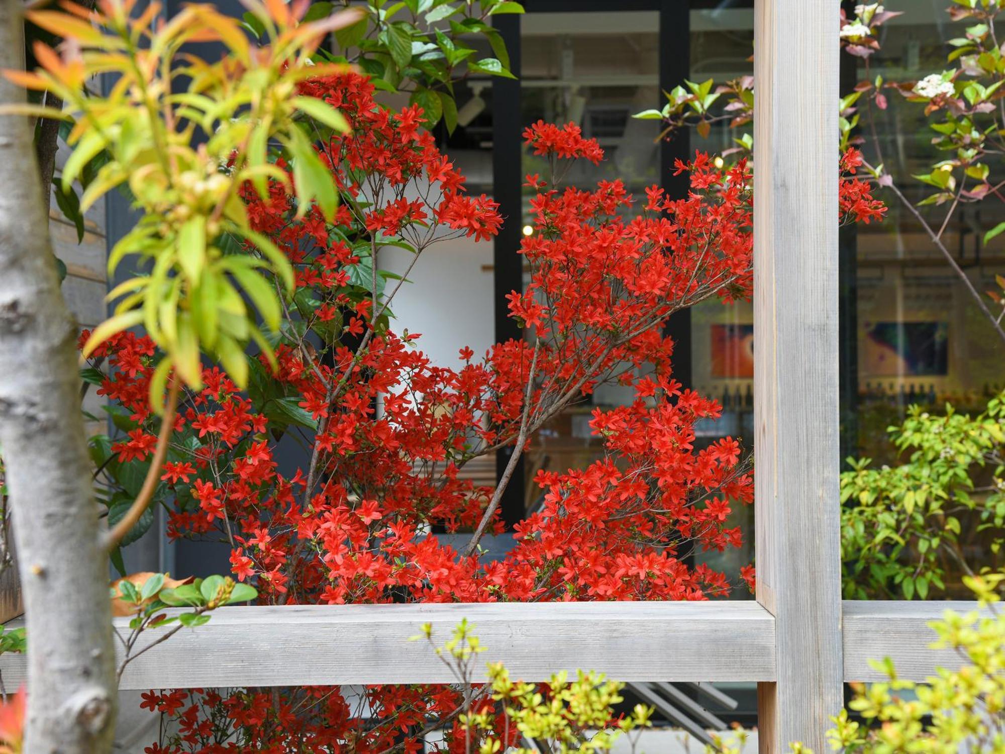 Ref Kyoto Hachijoguchi By Vessel Hotels Экстерьер фото